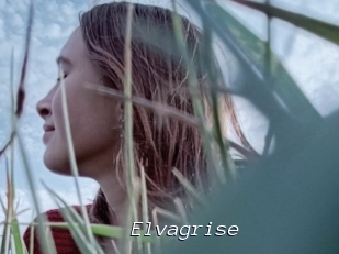 Elvagrise