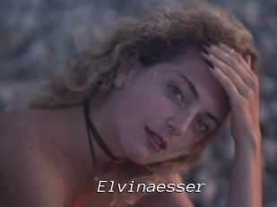 Elvinaesser