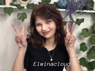 Elwinacloud