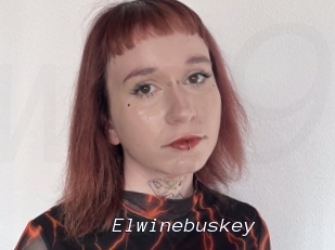 Elwinebuskey