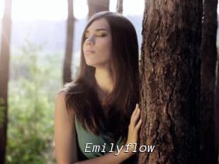 Emilyflow