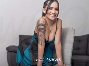 Emilykat