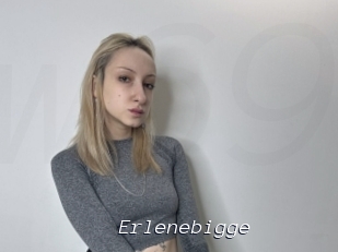 Erlenebigge