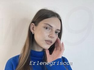 Erlenegriscom