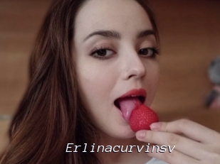 Erlinacurvinsv