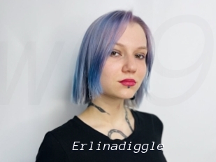 Erlinadiggle