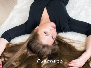 Evachice