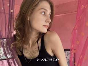 Evamate