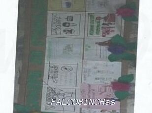 FALCO8INCHss