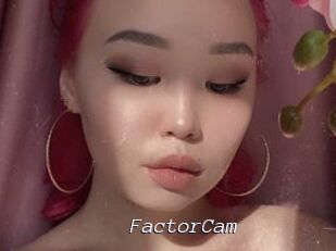 FactorCam