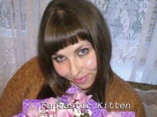 Fantastic_Kitten