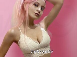FeNiKs09