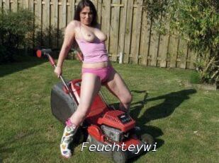 Feuchteywi