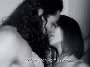 Flower_of_leon