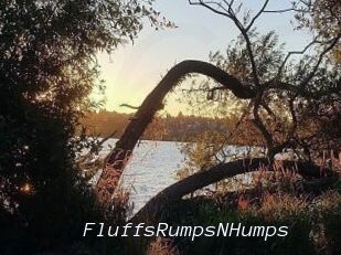 FluffsRumpsNHumps