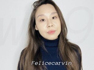 Felicecarvin