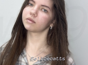 Felicecatts
