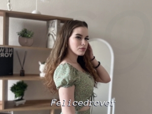 Felicedrover