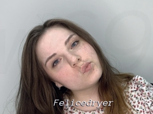 Felicedryer