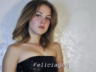 Feliciagrey