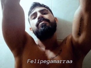 Felipegamarraa