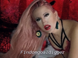 Findomgoaldigger