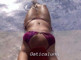 Gaticaluna