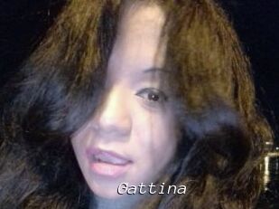 Gattina