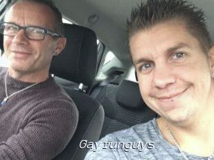 Gayfunguys