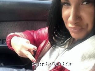 GentleDahlia