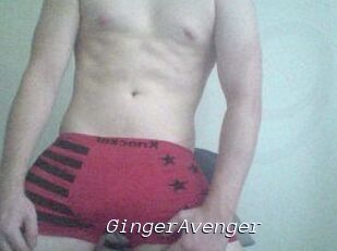GingerAvenger