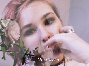 Grothia