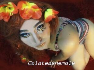 Galateashemale