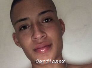Garfiosex