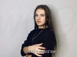 Garyngorse
