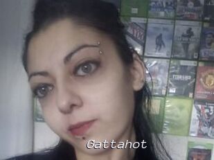 Gattahot