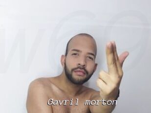 Gavril_morton