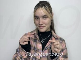 Gayhaizenberg