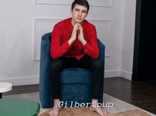 Gilbertpup