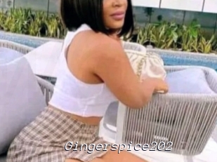 Gingerspice202