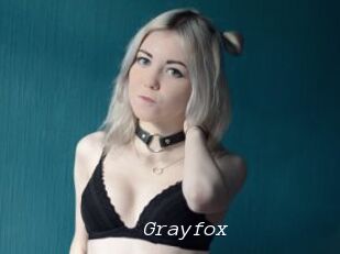 Grayfox