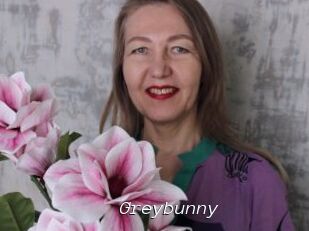 Greybunny