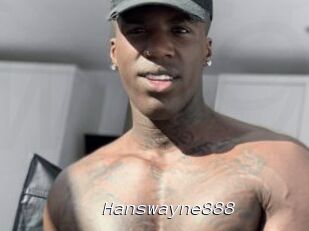 Hanswayne888