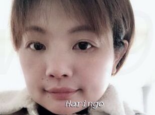 Haringo