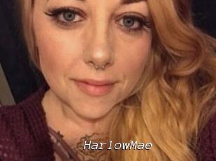 Harlow_Mae