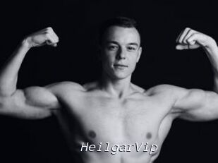 HeilgarVip