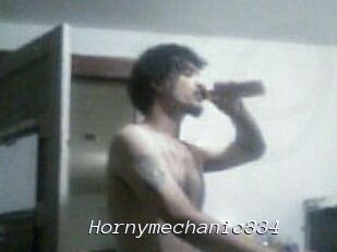Hornymechanic334