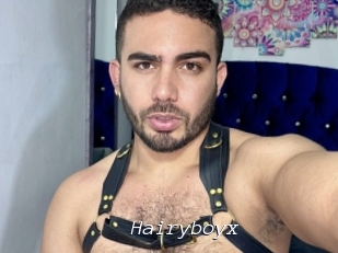 Hairyboyx