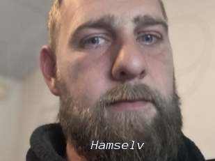 Hamselv