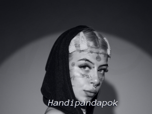 Handipandapok